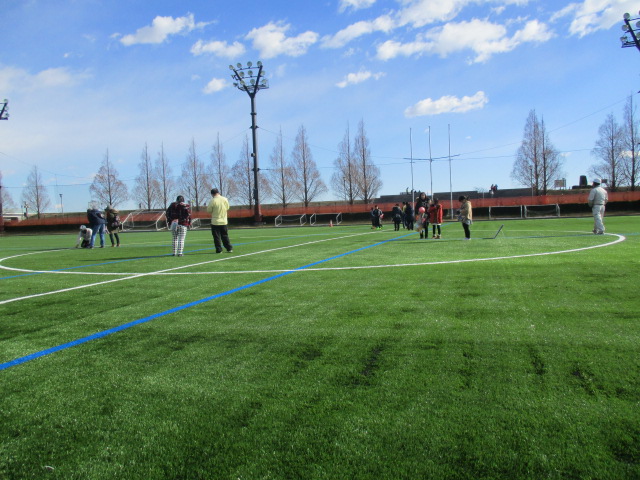 人工芝サッカー場 馬入ふれあい公園