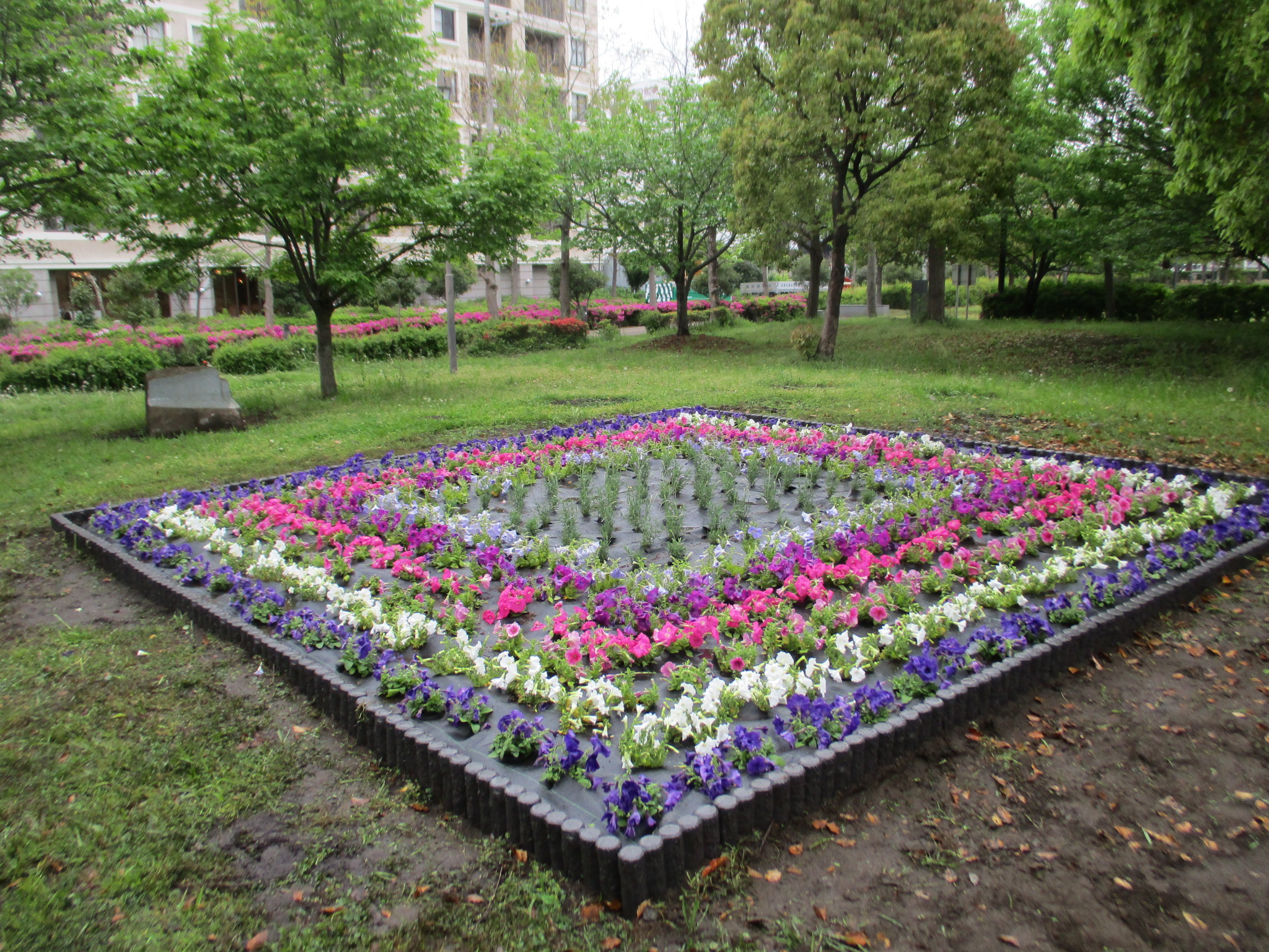 公園に新しい花壇ができました 馬入ふれあい公園