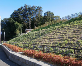 法面・植栽地