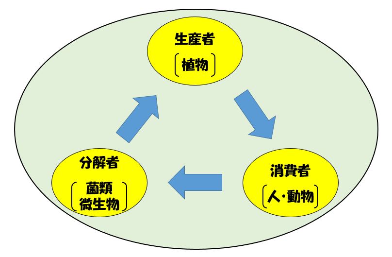 生態系図１