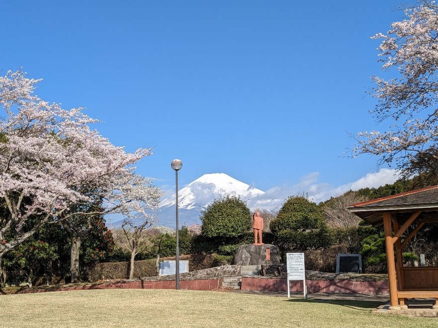 🌸運動公園も春爛漫!🌸 裾野市スポーツ施設