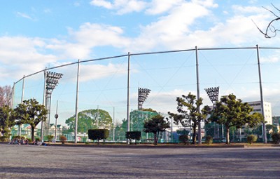 潮田公園自由広場画像_3