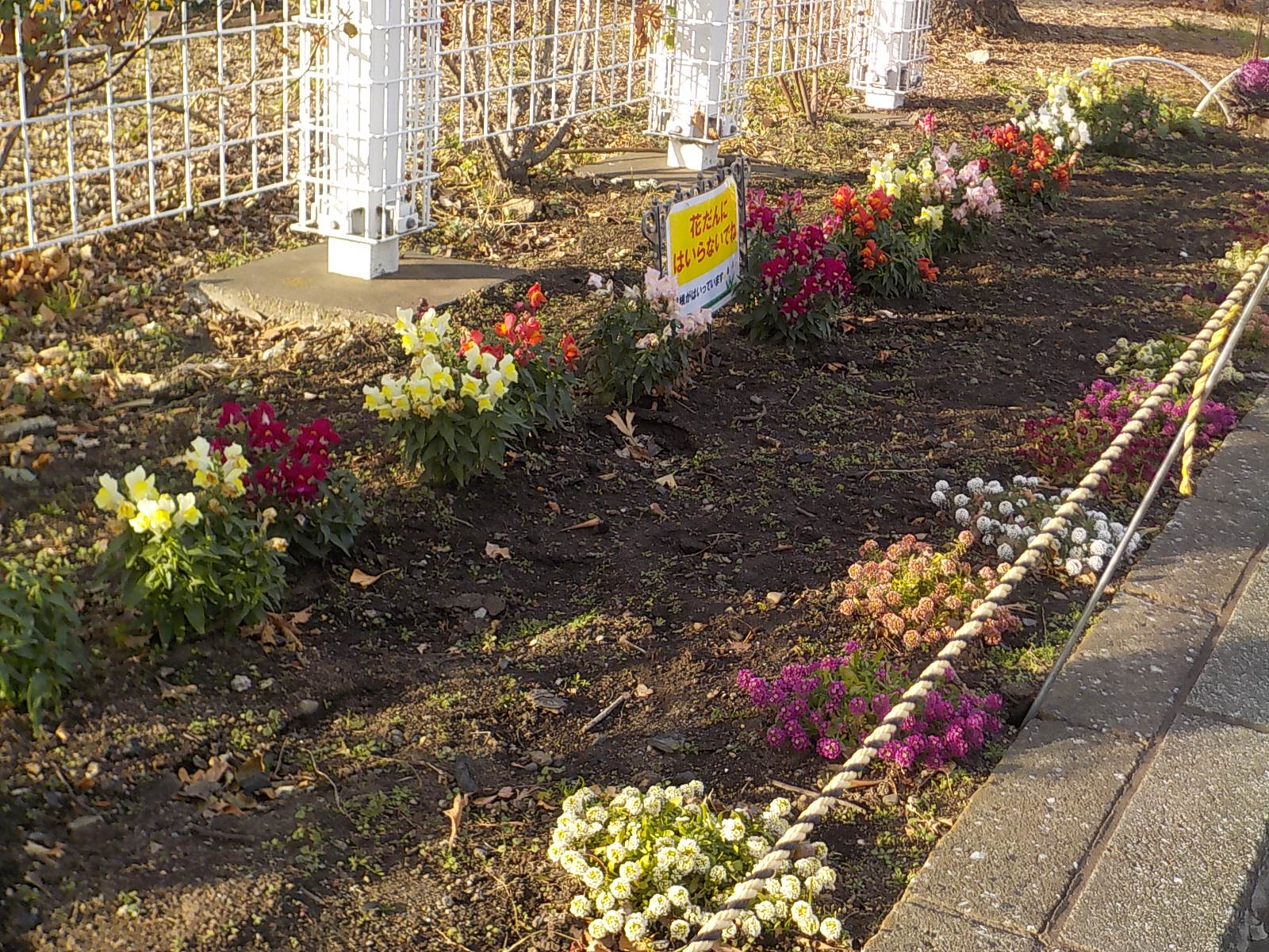 明けましておめでとうございます 潮田公園