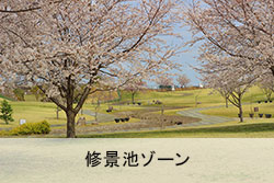 修景池ゾーン