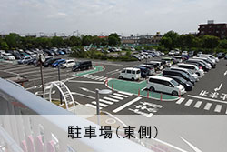 駐車場（東側）